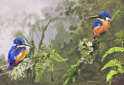 Kingfishers in Paradise